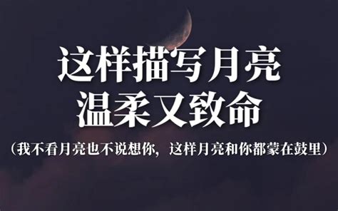 我不看月亮 意思|我不看月亮（网络流行词）